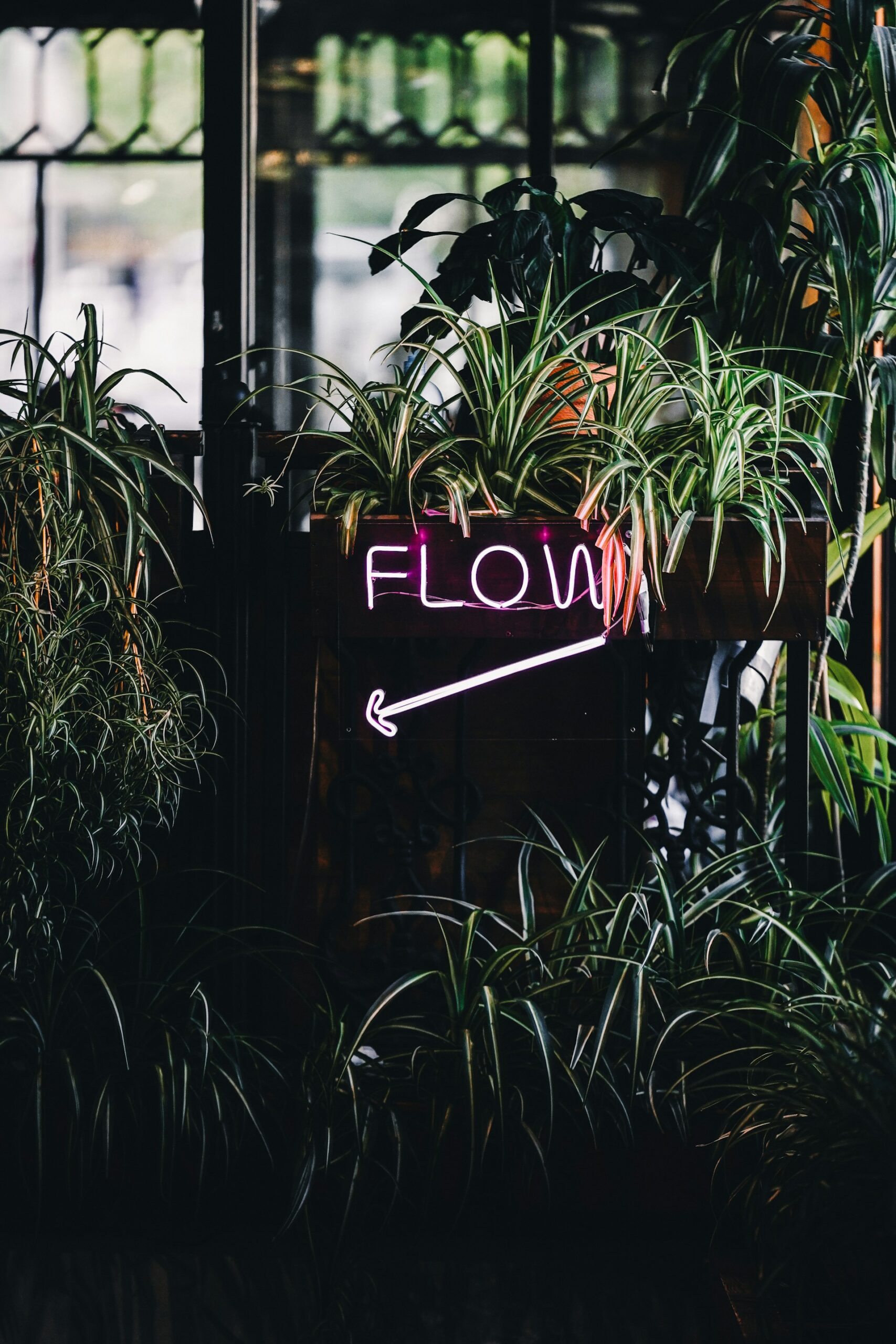 A neon sign that says "flow". There are a bunch of potted plants surrounding it