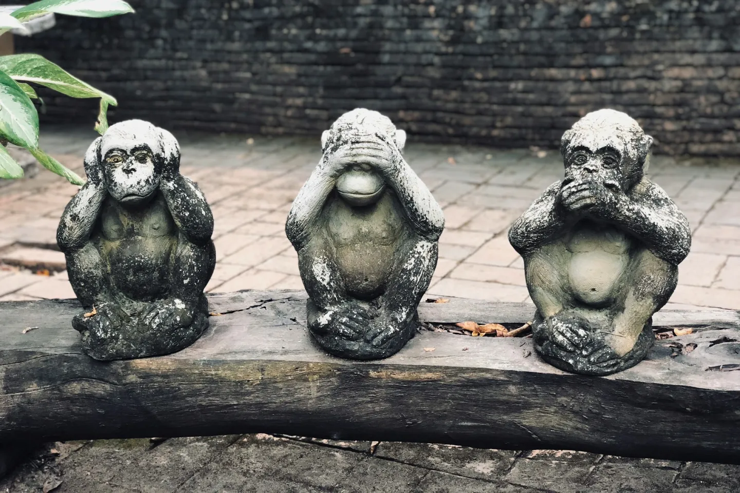 hear no evil, see no evil, speak no evil. three monkeys sitting next to each other on a log.